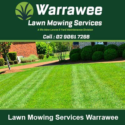 A freshly mowed lawn in Warrawee
