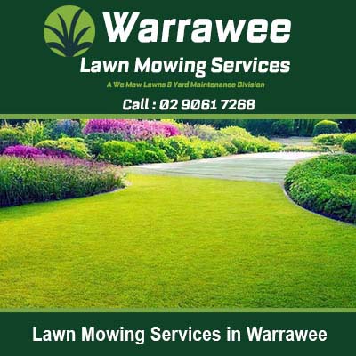 Well maintained lawn with curved garden beds in Warrawee